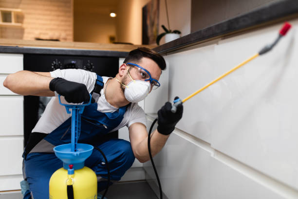 Best Mosquito Control Services  in Kaunakakai, HI