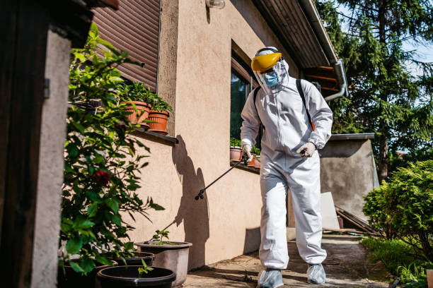 Reliable Kaunakakai, HI Pest Control Solutions