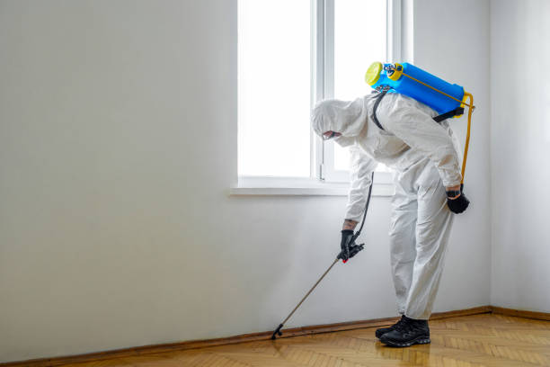 Best Emergency Pest Control  in Kaunakakai, HI